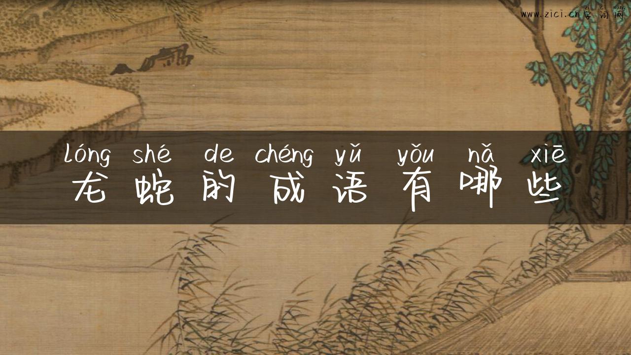 龙蛇的成语有哪些