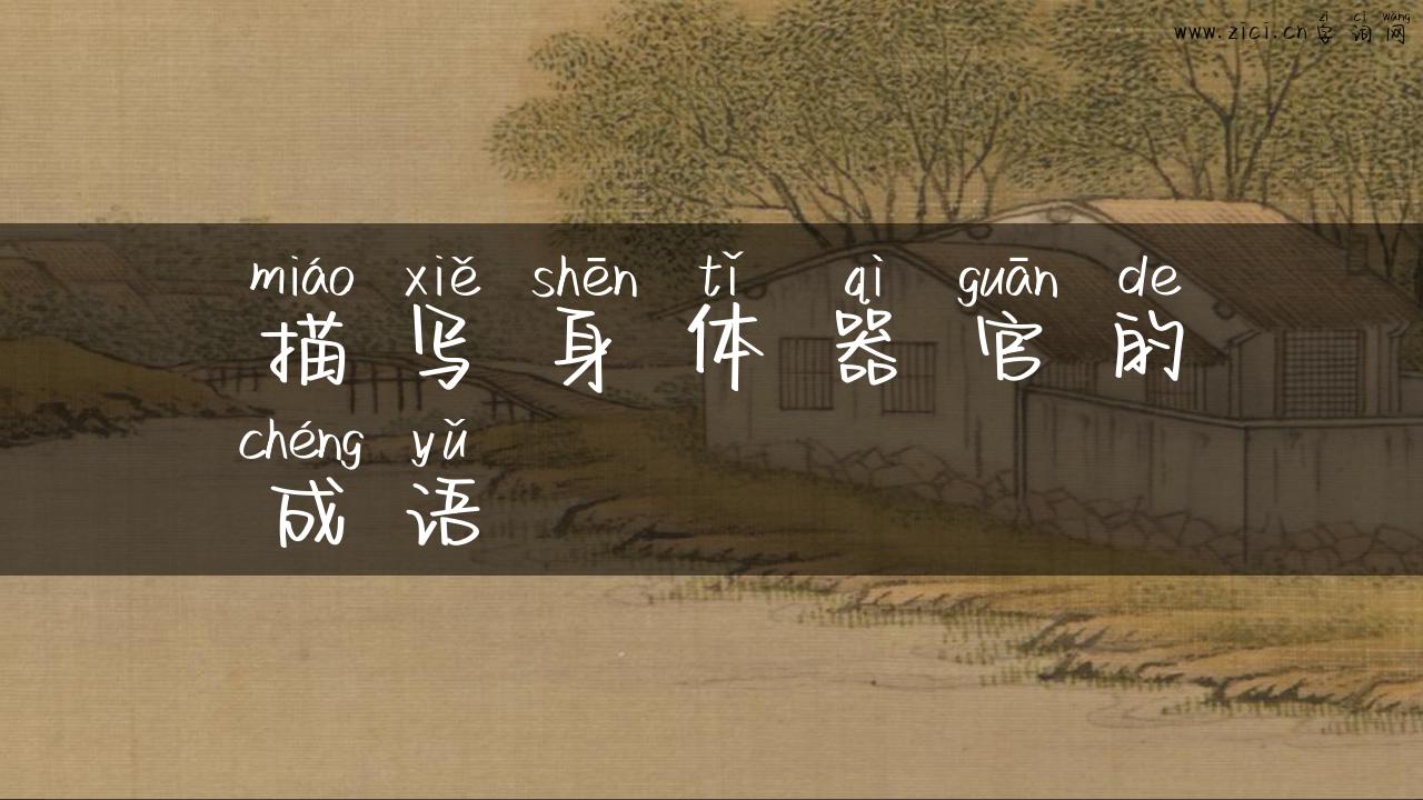 描写身体器官的成语