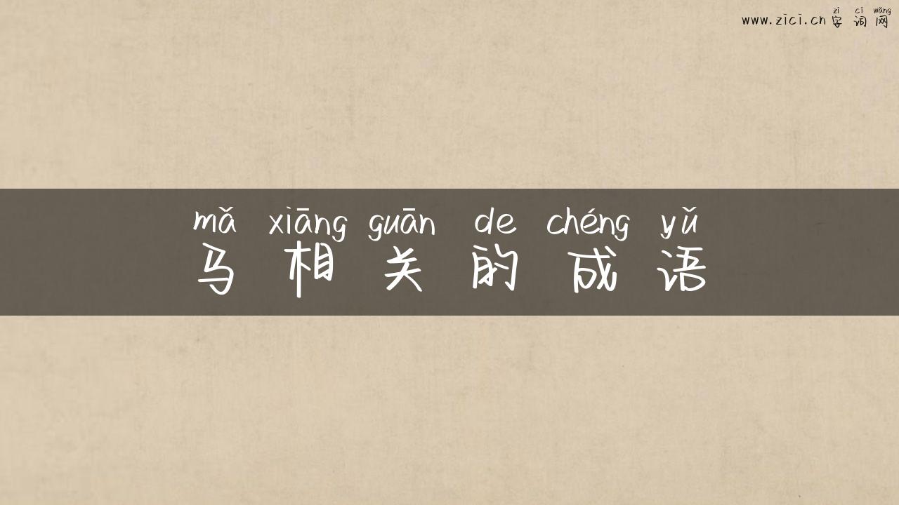 马相关的成语