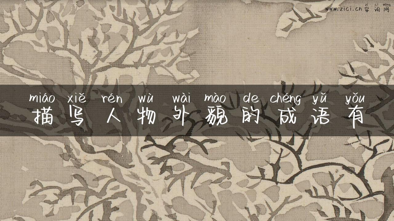 描写人物外貌的成语有