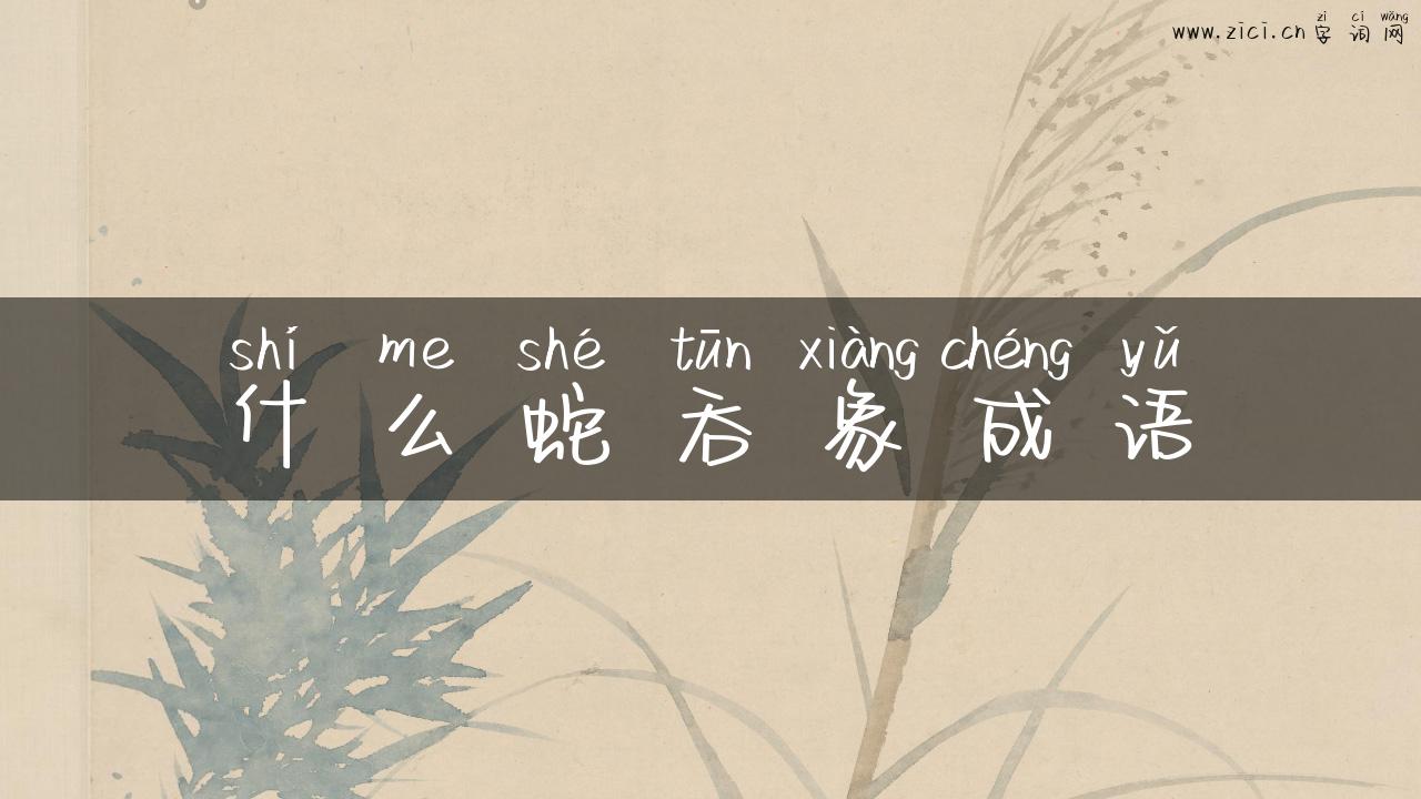 什么蛇吞象成语