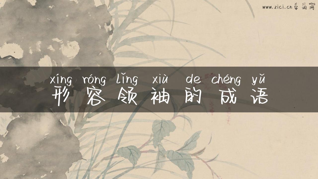 形容领袖的成语