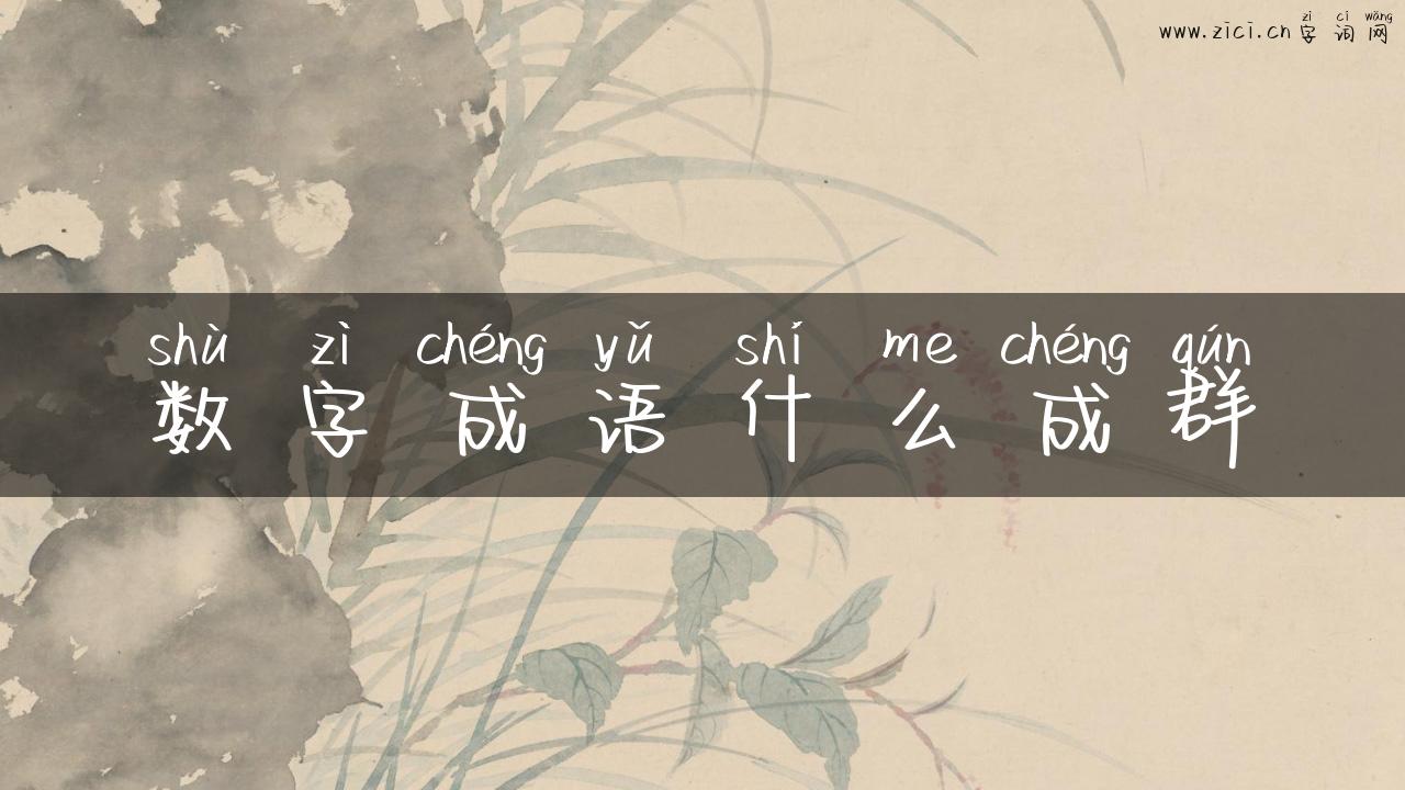 数字成语什么成群