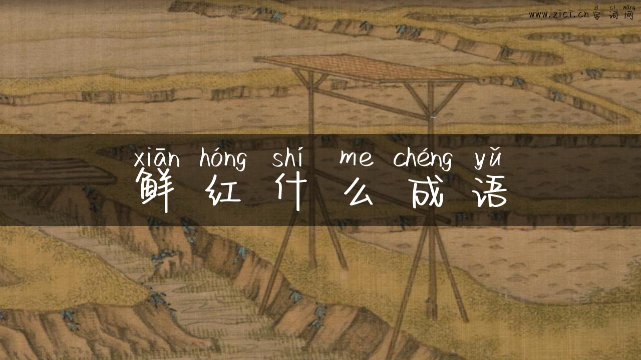 鲜红什么成语