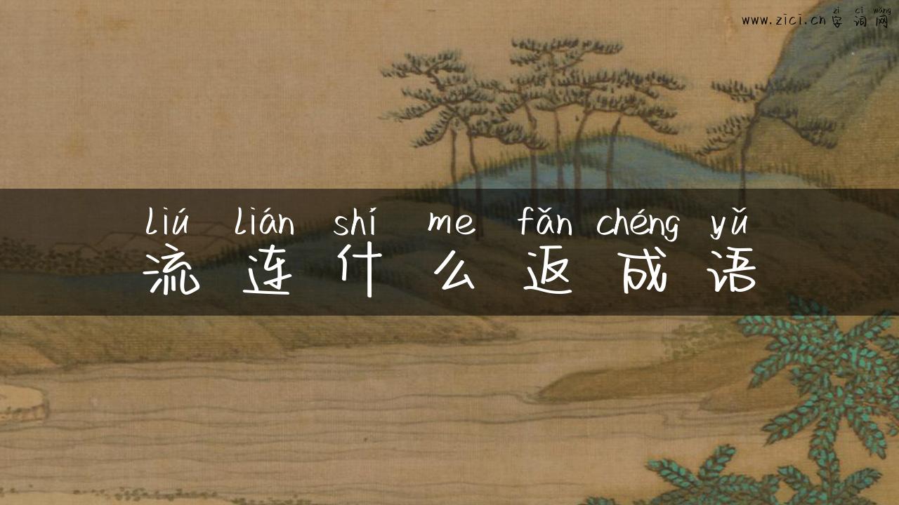 流连什么返成语