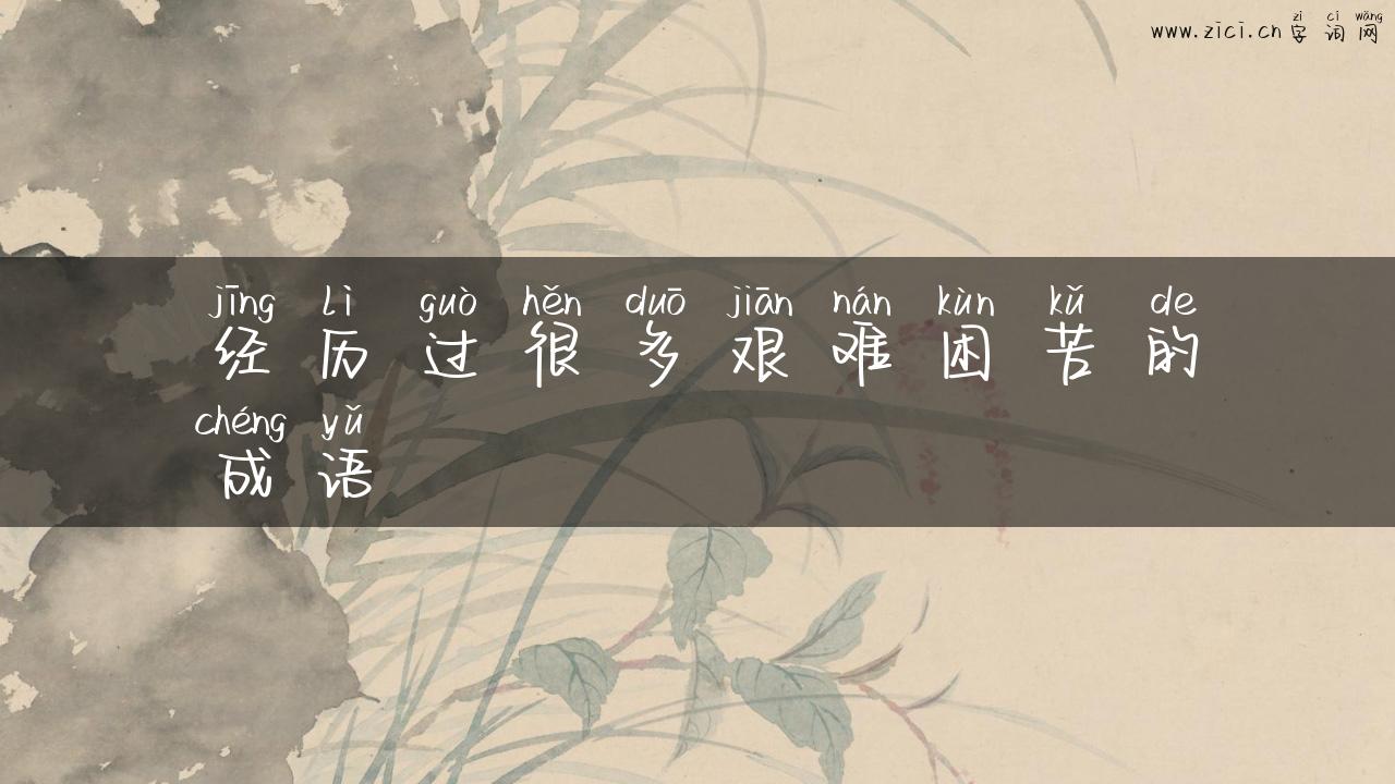 经历过很多艰难困苦的成语