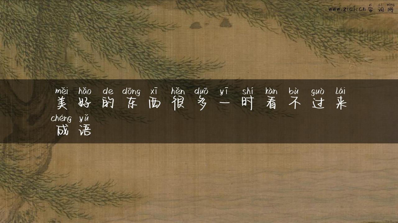 美好的东西很多一时看不过来成语