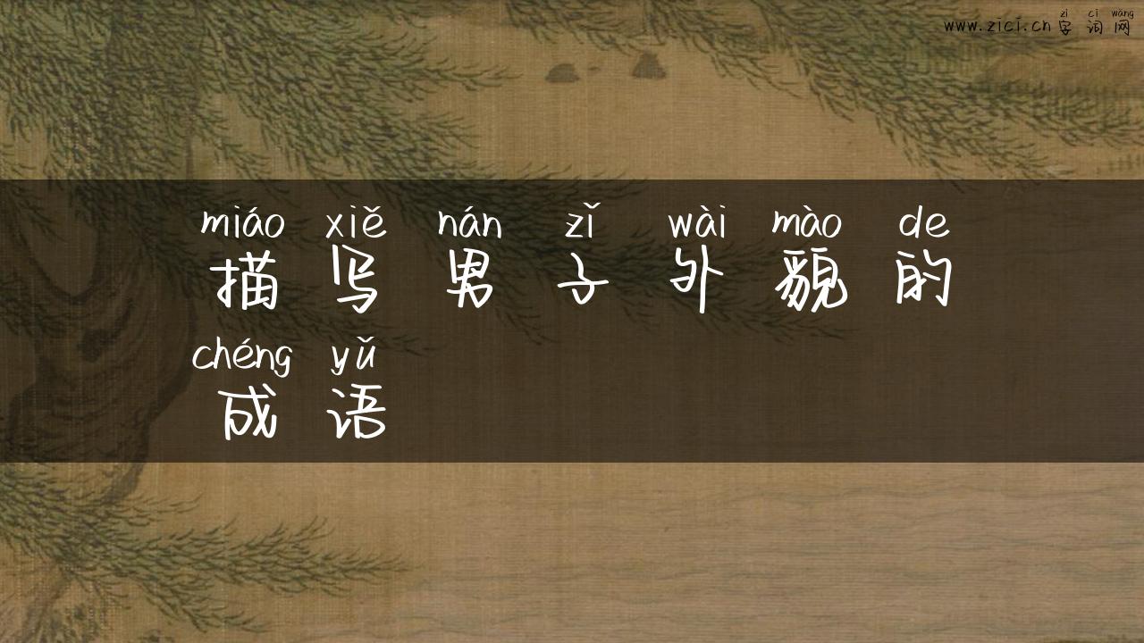 描写男子外貌的成语