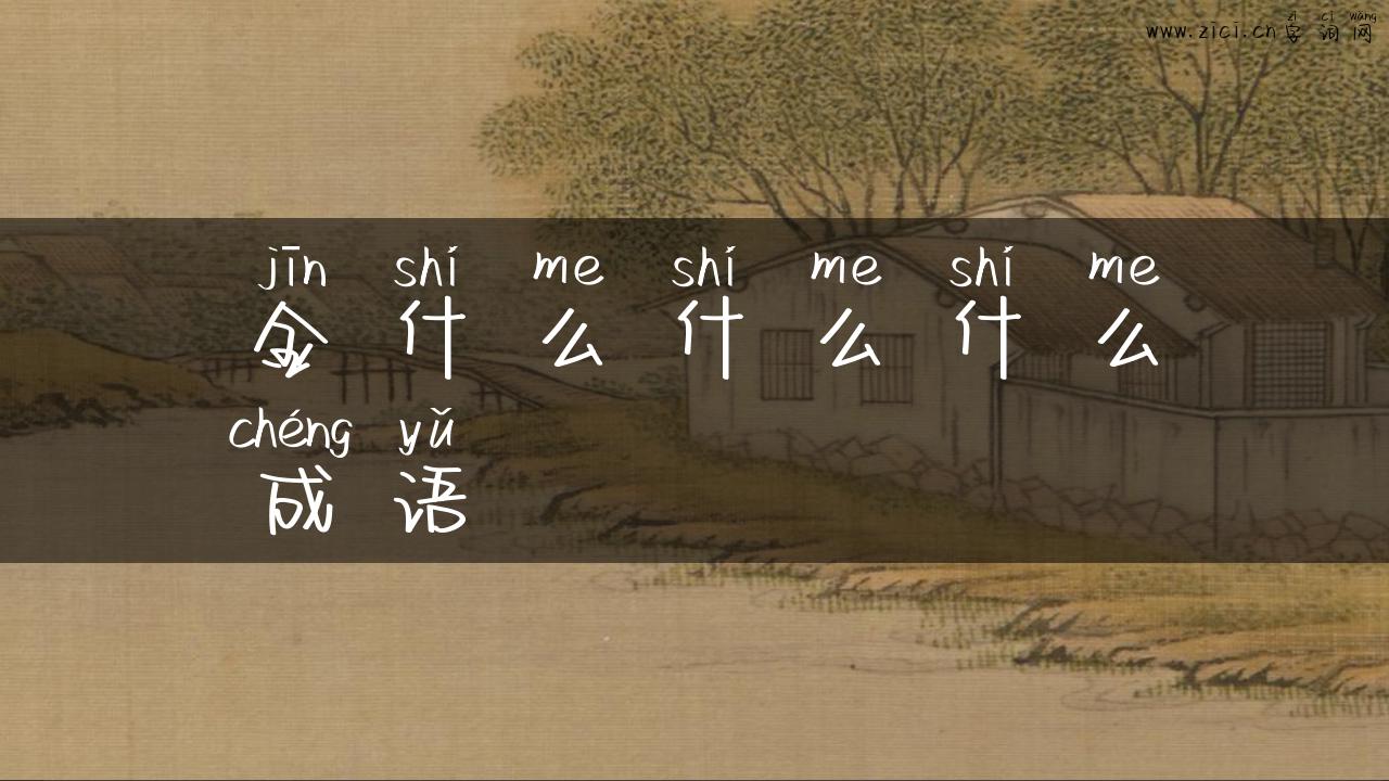 金什么什么什么成语