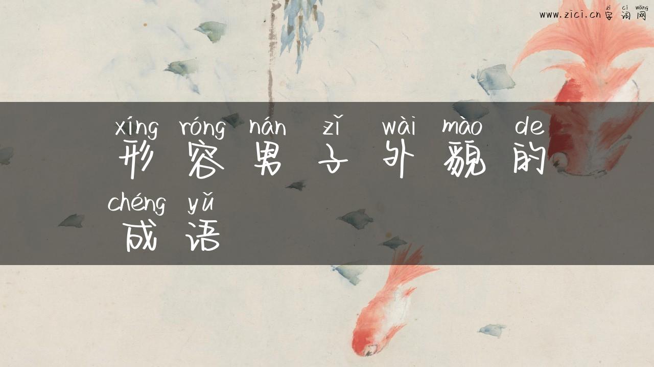 形容男子外貌的成语