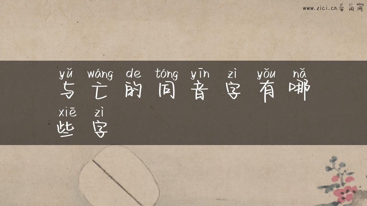 与亡的同音字有哪些字