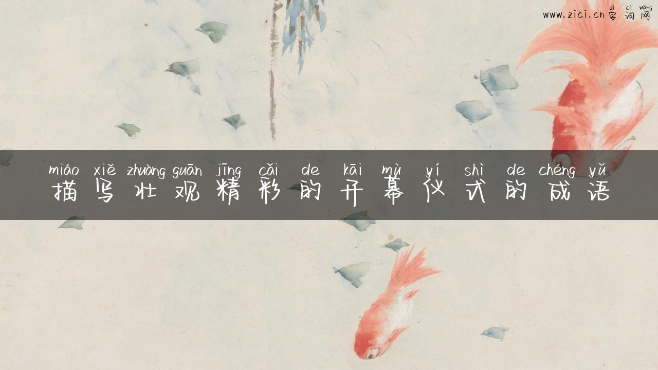 描写壮观精彩的开幕仪式的成语