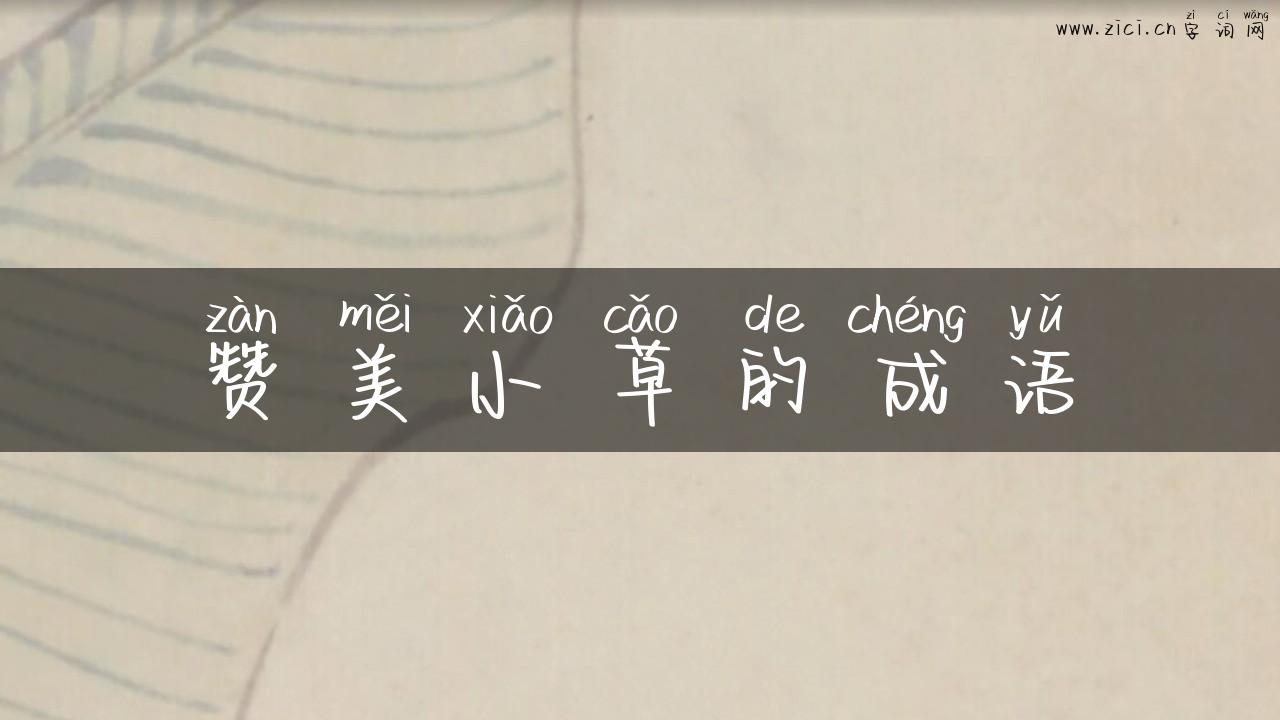赞美小草的成语