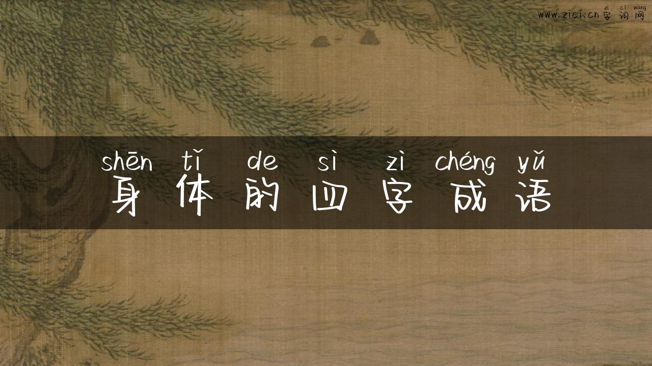 身体的四字成语