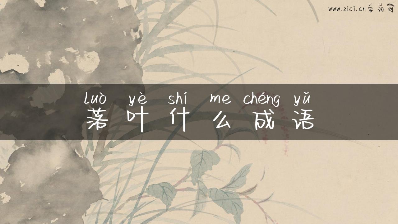 落叶什么成语