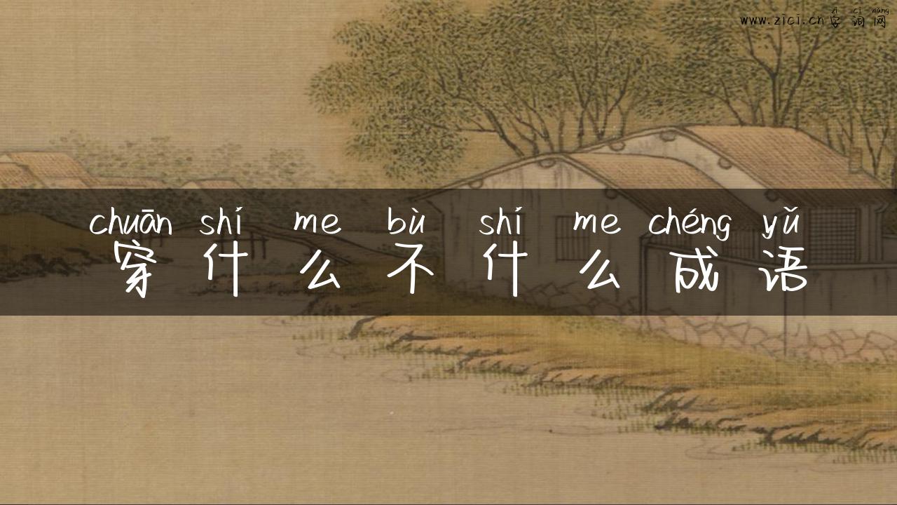 穿什么不什么成语