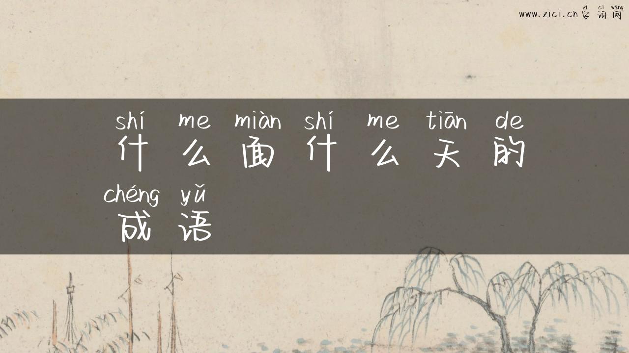 什么面什么天的成语