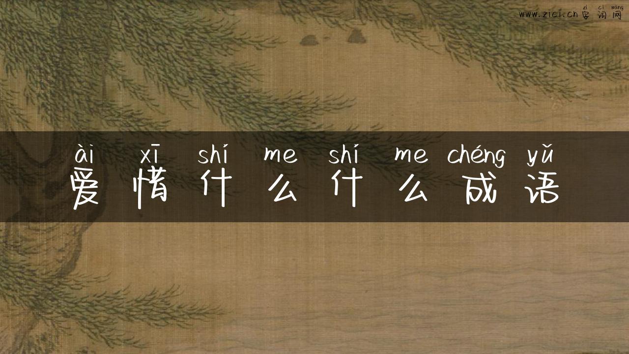 爱惜什么什么成语