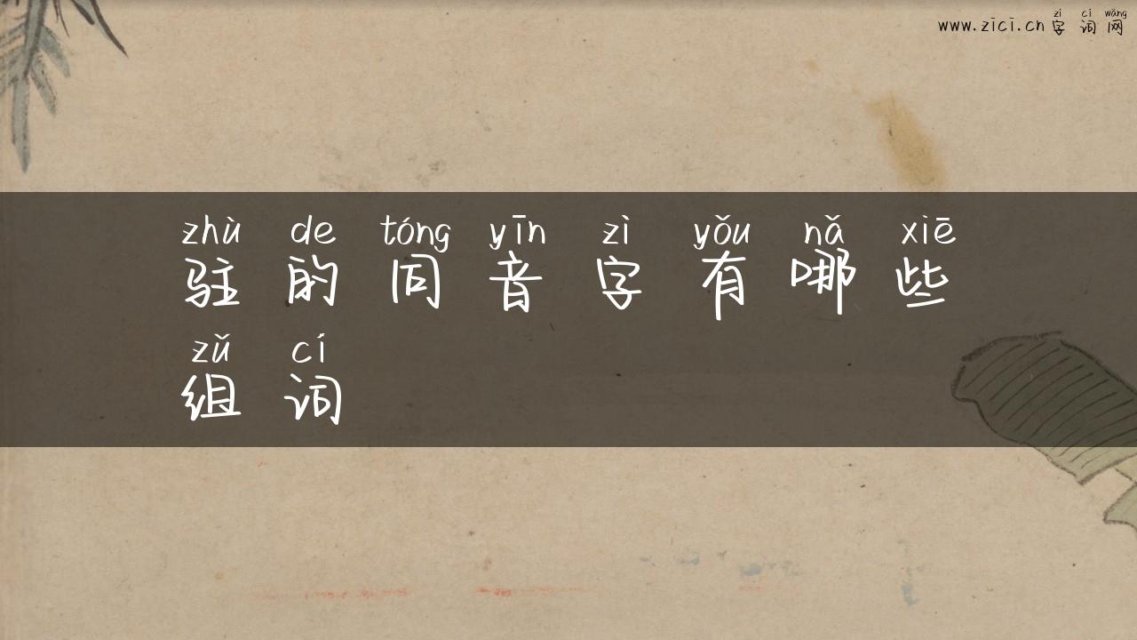 驻的同音字有哪些组词