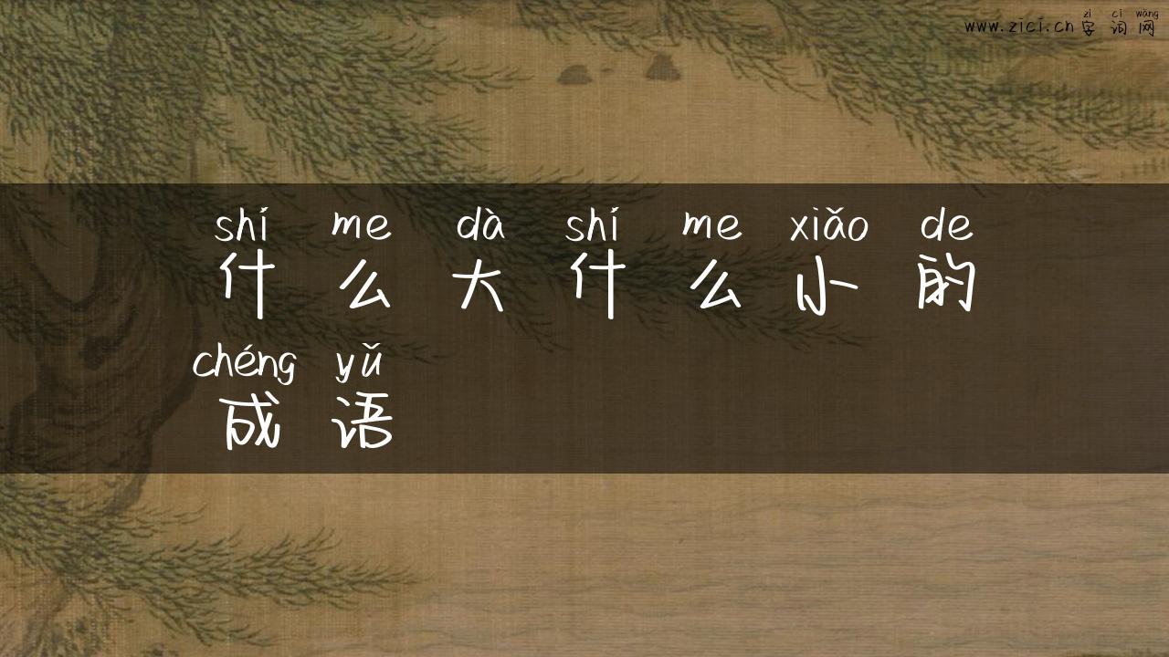 什么大什么小的成语