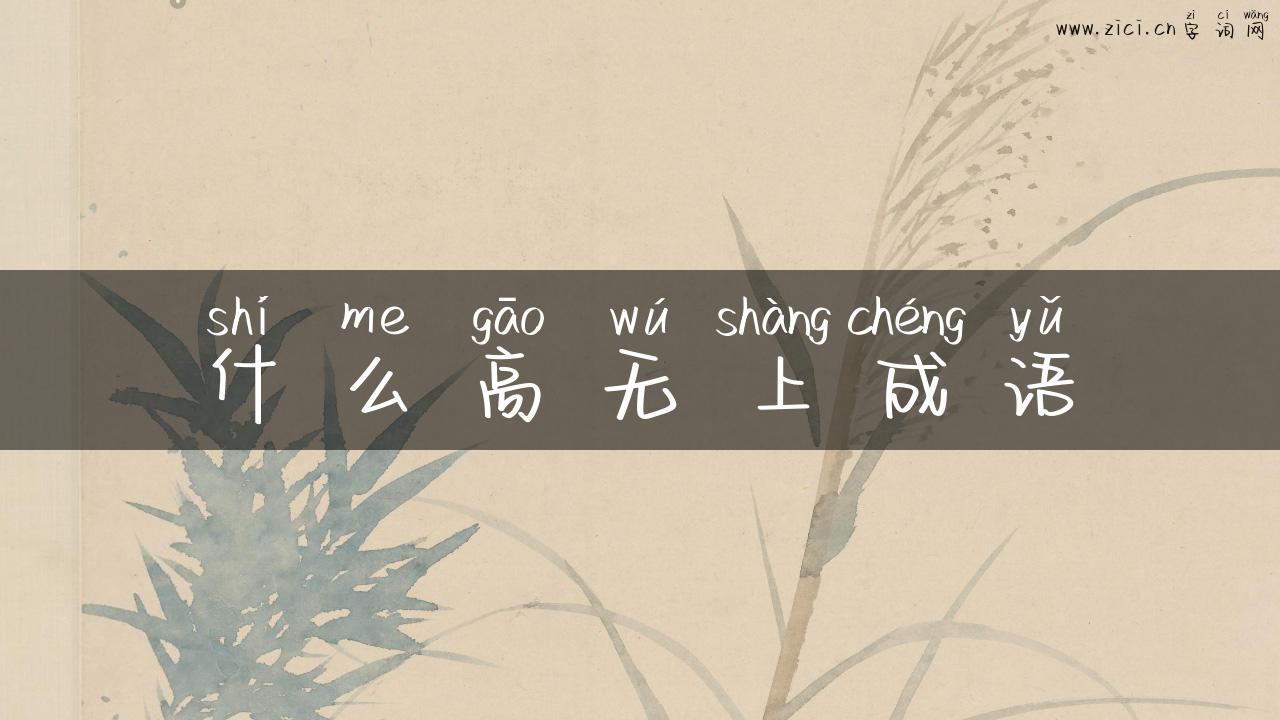 什么高无上成语
