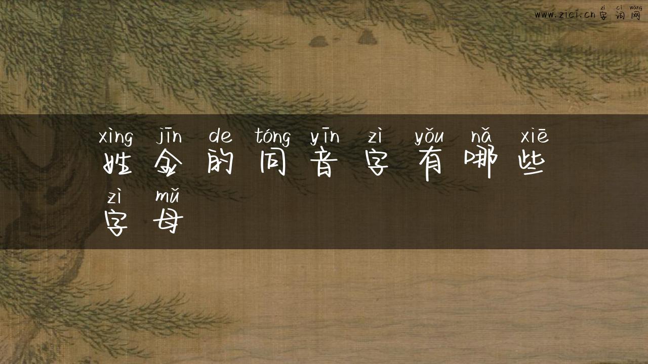姓金的同音字有哪些字母