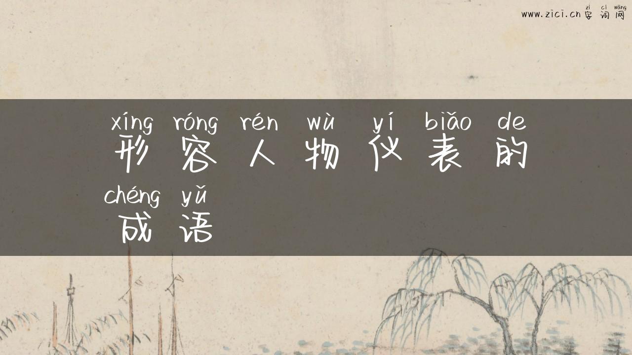 形容人物仪表的成语