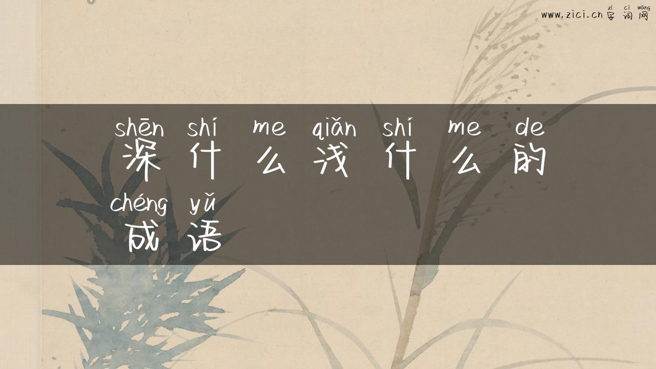 深什么浅什么的成语