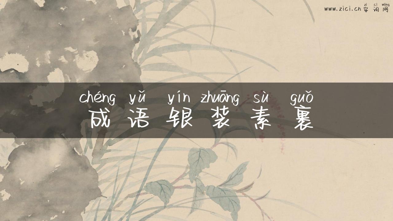 成语银装素裹