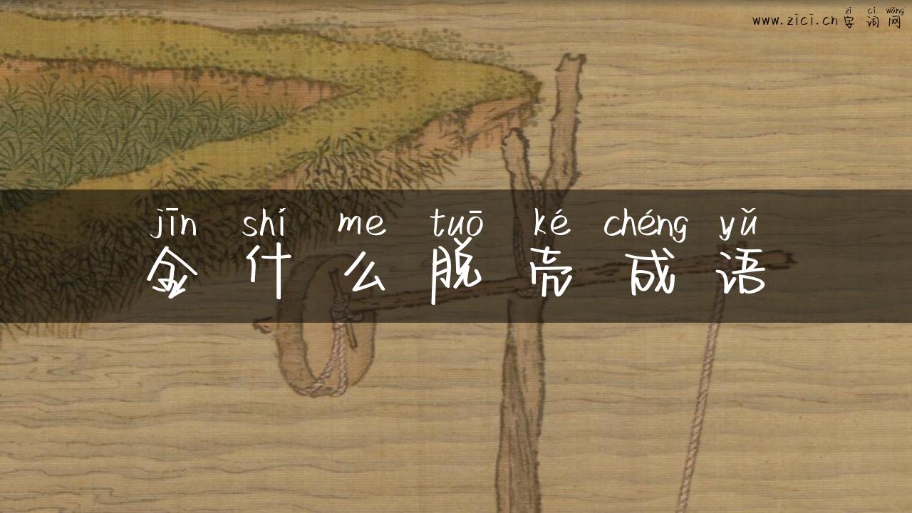 金什么脱壳成语