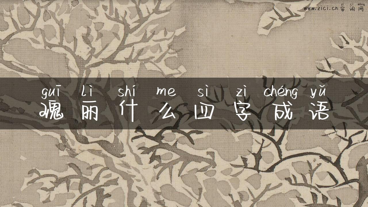 瑰丽什么四字成语