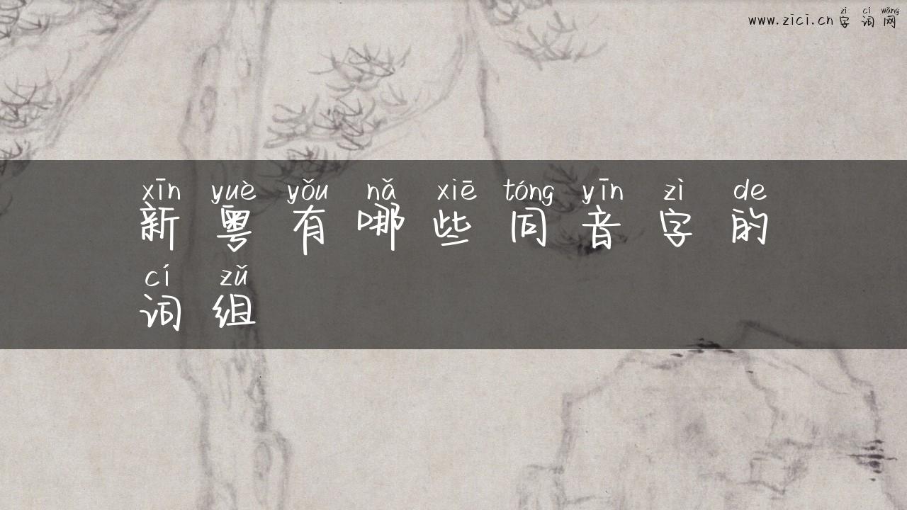新粤有哪些同音字的词组