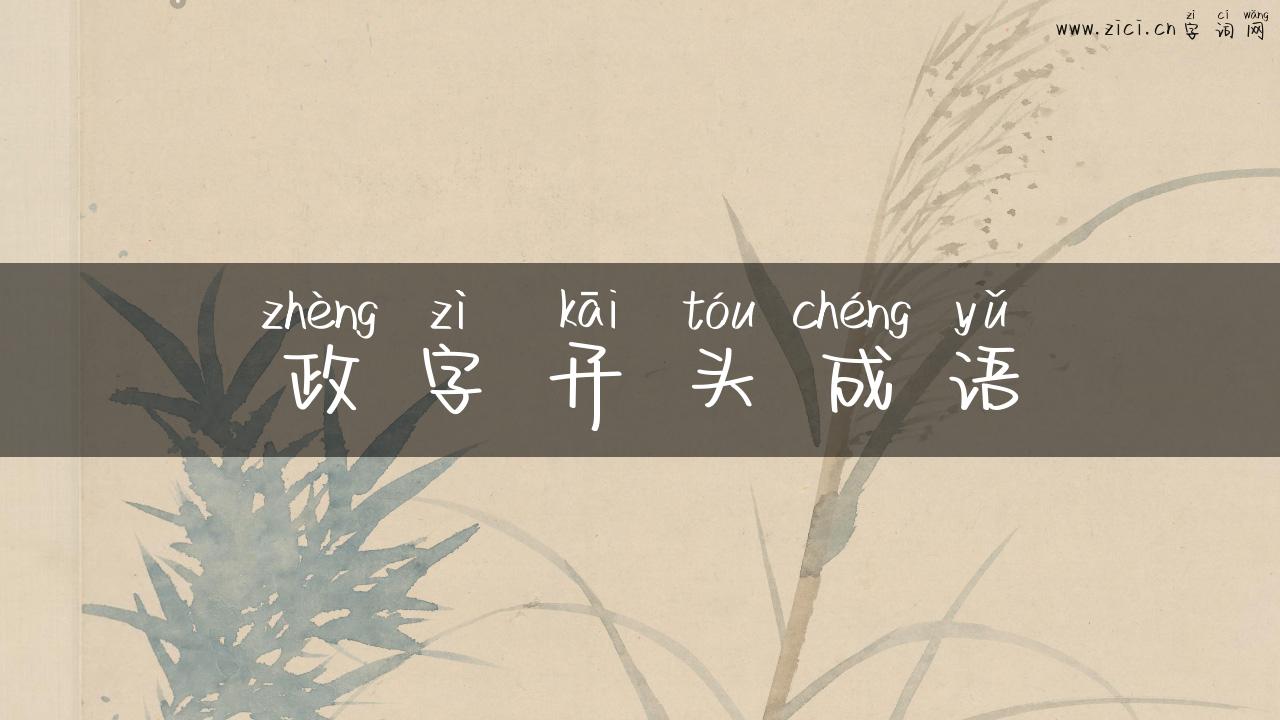 政字开头成语