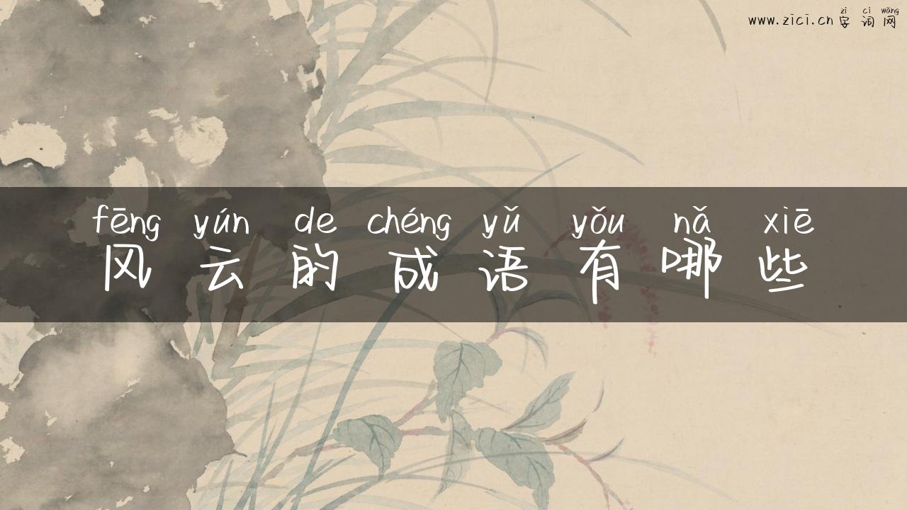 风云的成语有哪些