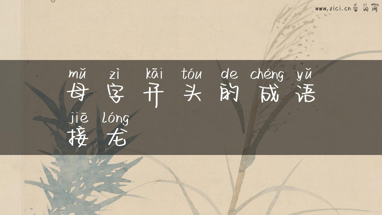 母字开头的成语接龙