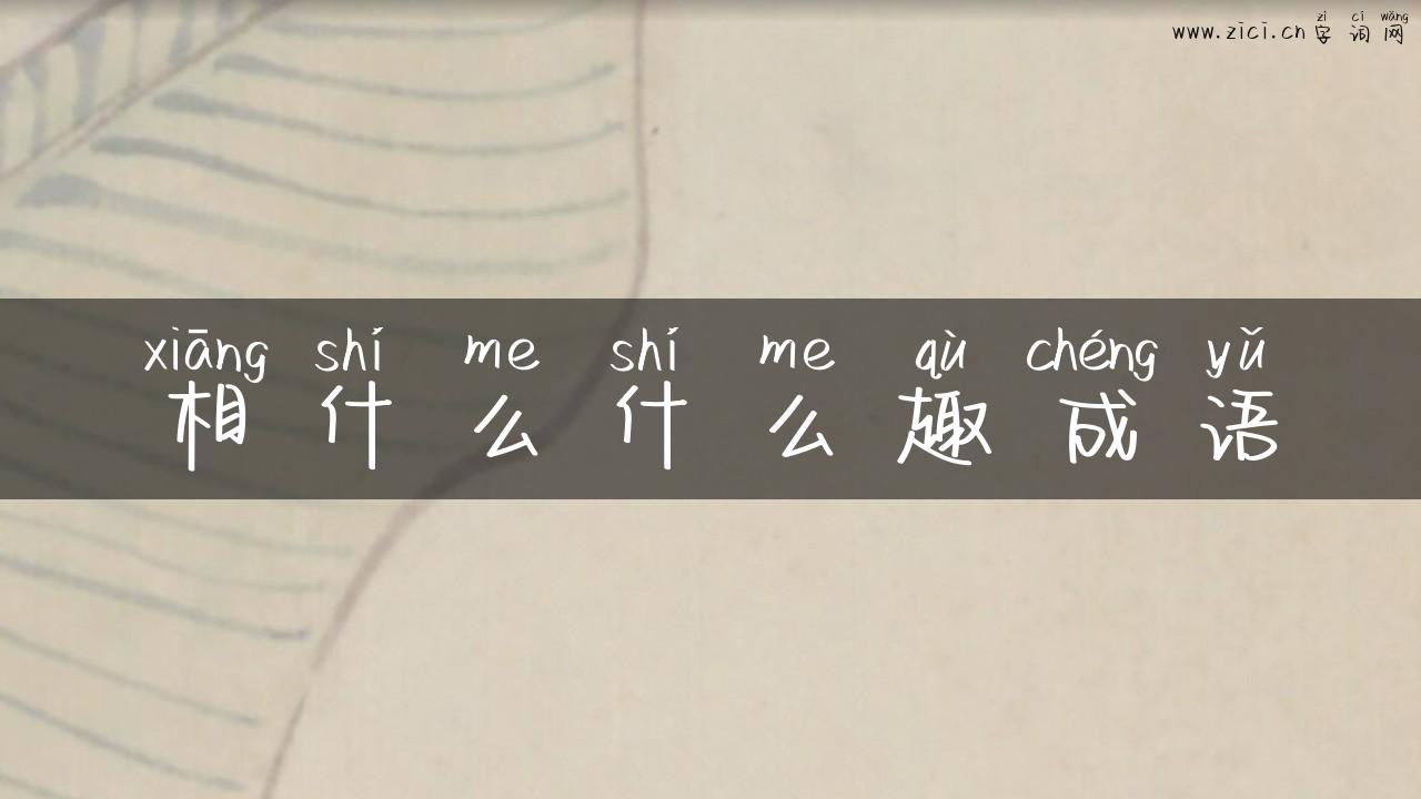 相什么什么趣成语