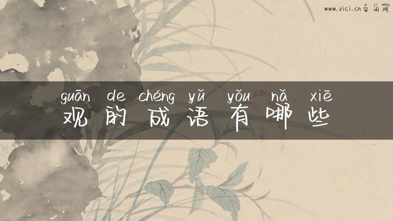 观的成语有哪些