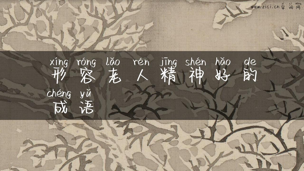 形容老人精神好的成语