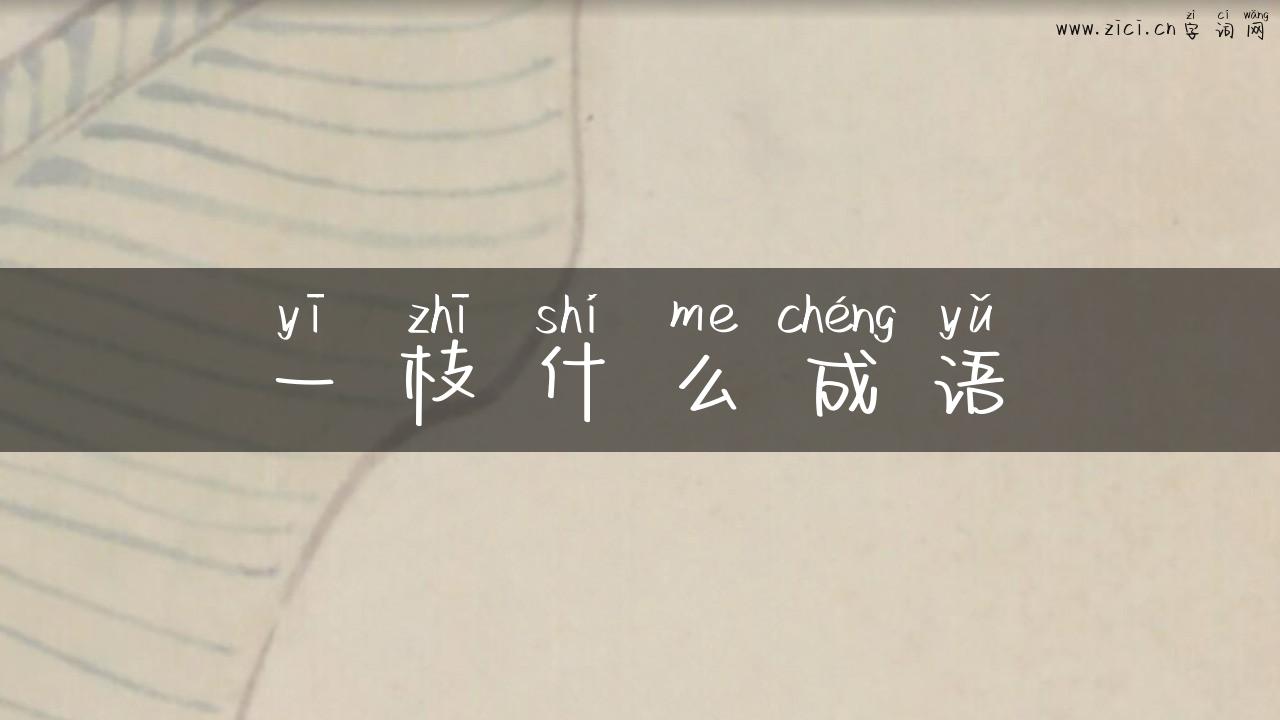 一枝什么成语