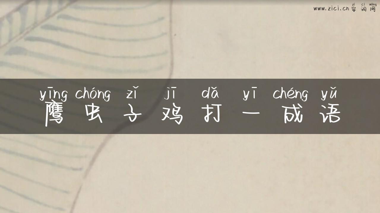 鹰虫子鸡打一成语