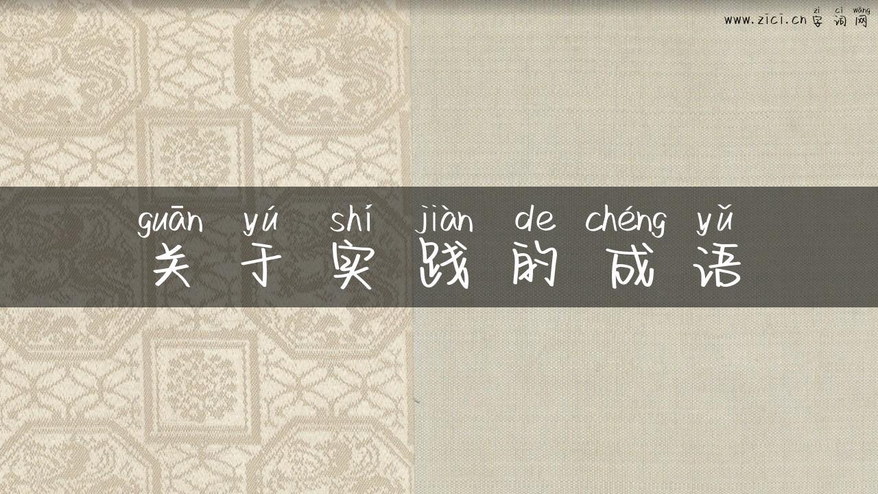 关于实践的成语