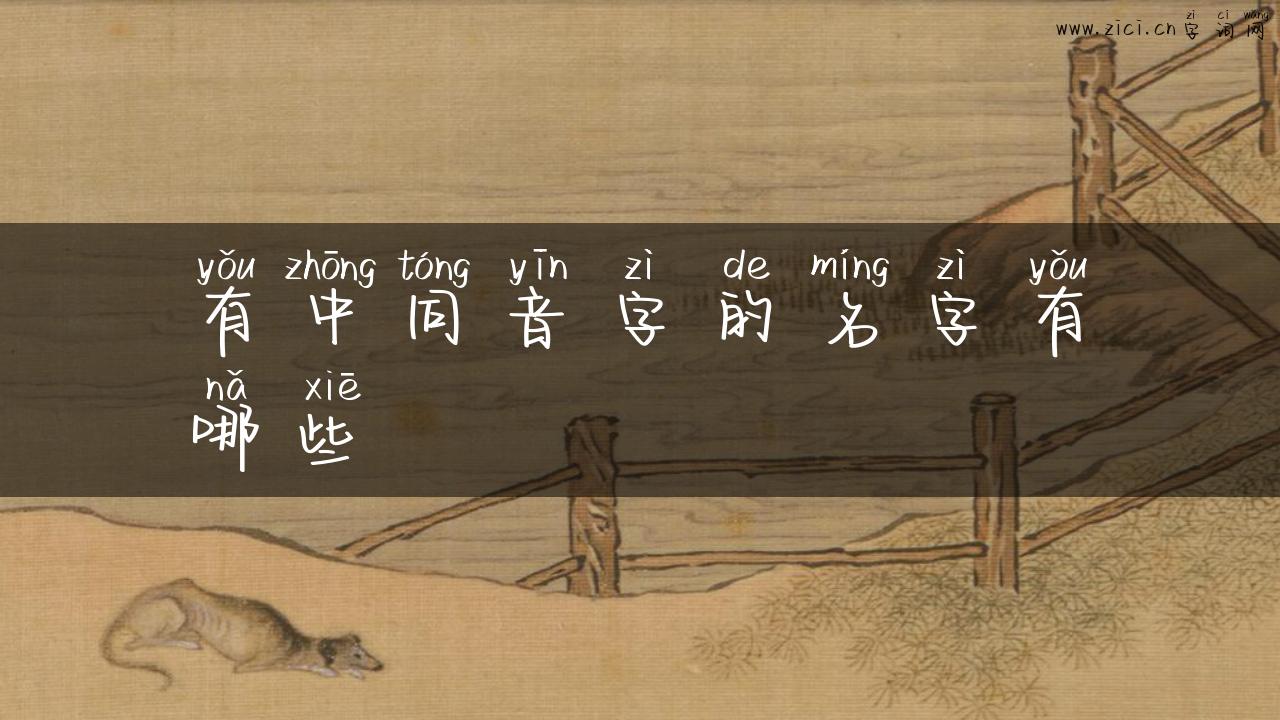 有中同音字的名字有哪些