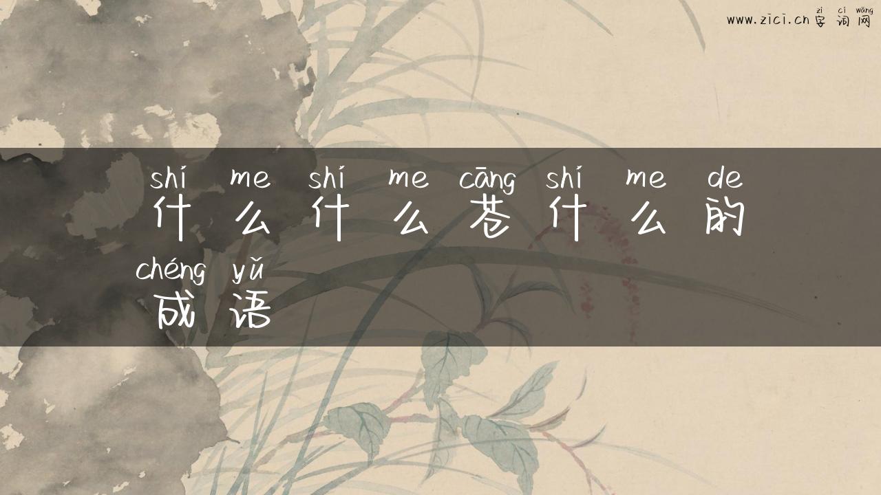 什么什么苍什么的成语