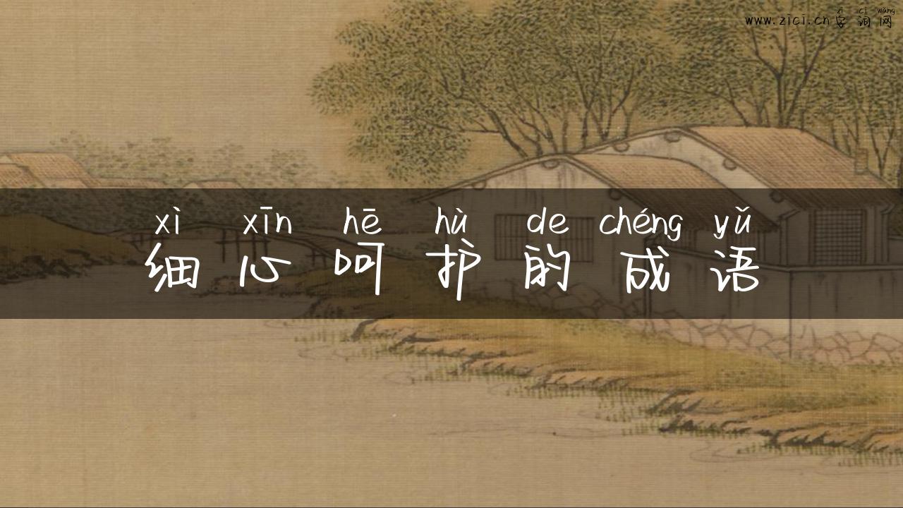 细心呵护的成语