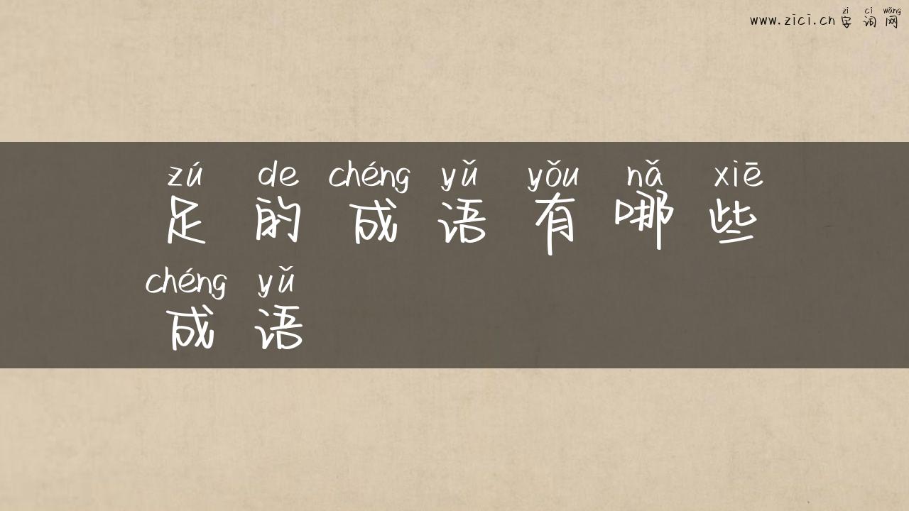 足的成语有哪些成语