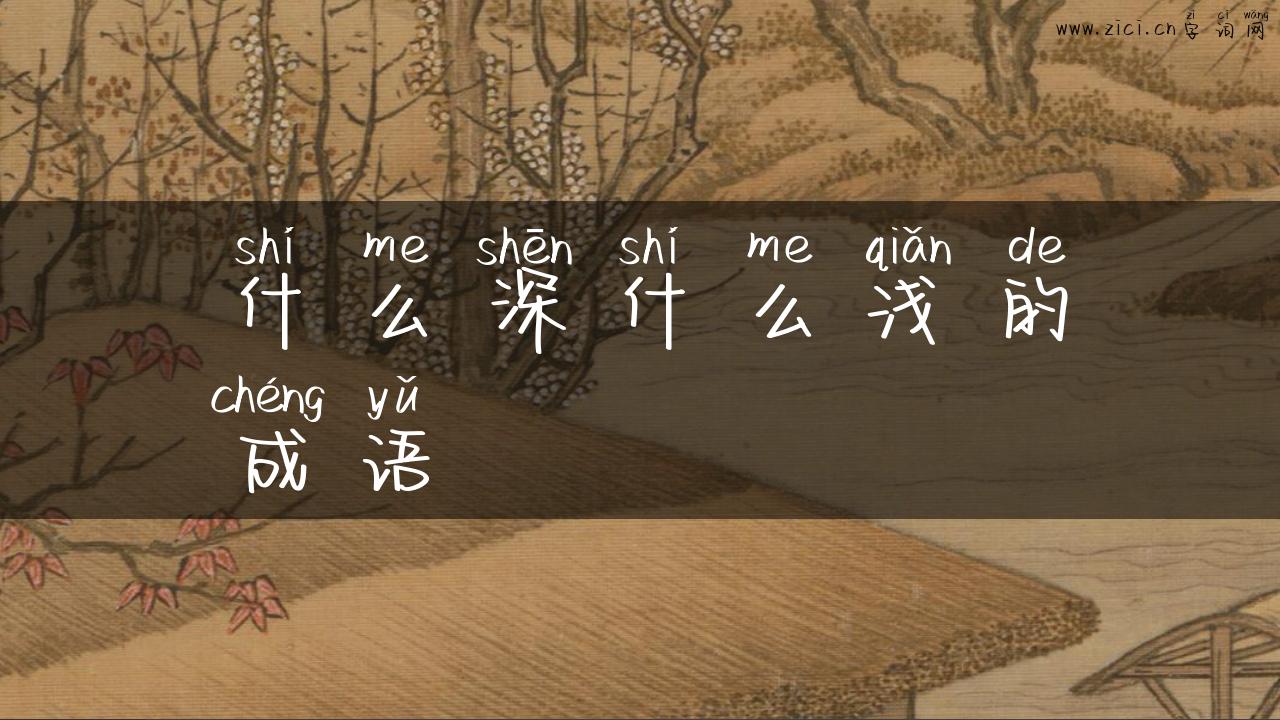 什么深什么浅的成语