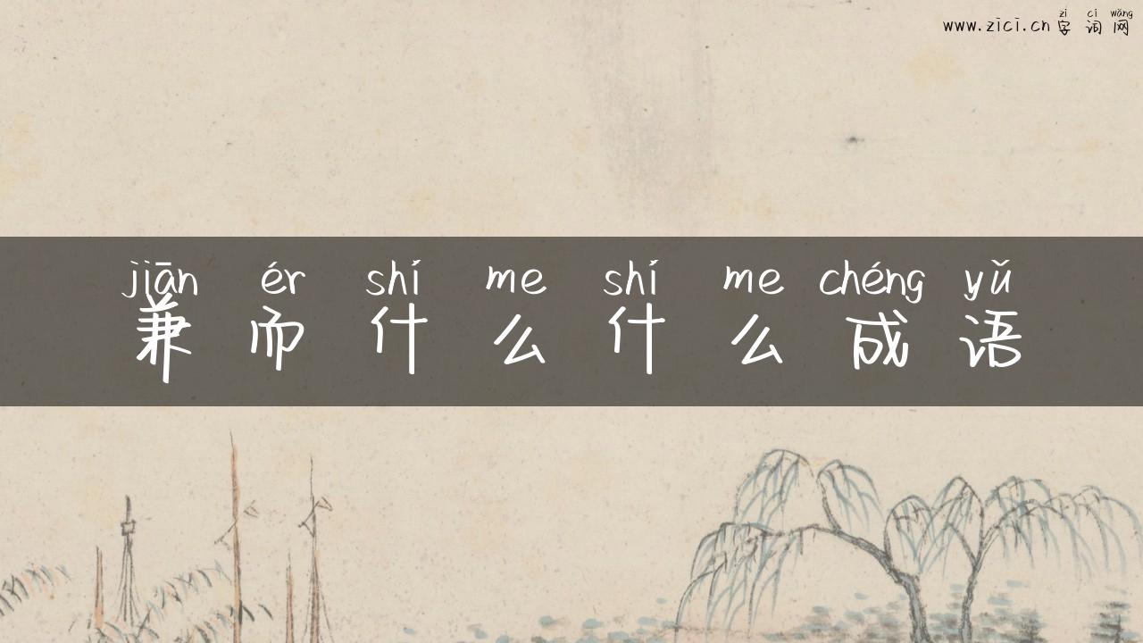 兼而什么什么成语