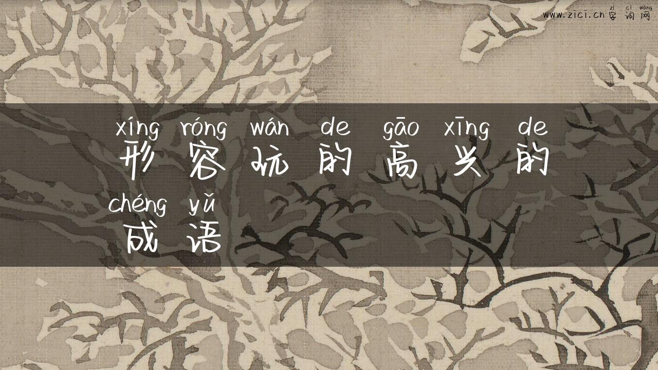 形容玩的高兴的成语