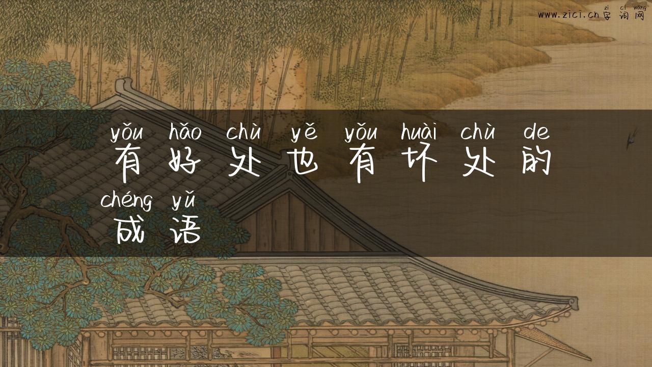 有好处也有坏处的成语