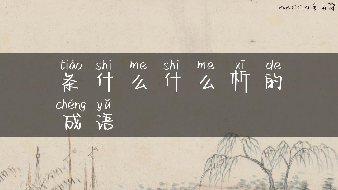 条什么什么析的成语